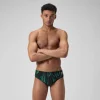 Space Train Brief