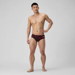 Space Train Brief