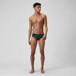 Space Train Brief