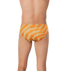 ST Vortex Maze Brief
